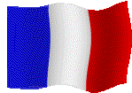 flag of France